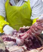 meet-your-meat