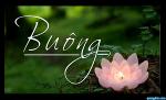 buong-bo
