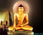 phat-thanh-dao-2