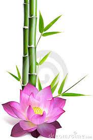 lotus_2