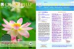 chanh-phap-so-126