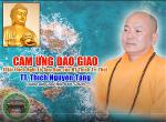12-cam-ung-dao-giao