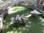 tho-xuong-hoa-2