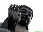 buddha-105