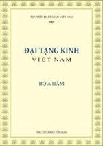 dai-tang-kinh-viet-nam