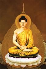 duc-nhu-lai-2
