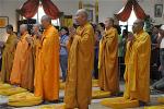 hoa-thuong-thich-nhu-dien-6-