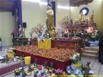 chua-vien-giac-don-xuan-3-