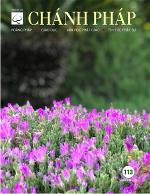 bia-bao-chanh-phap-so-113-04-2021-