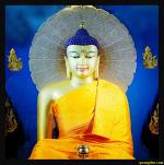 phat-thanh-dao