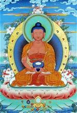 thuc-hanh0giac-ngu-voi-duc-phat-a-di-da