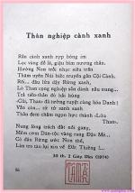 tho-cua-nu-si-tam-tan-35