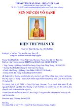 dien-thu-phan-uu-chua-vn
