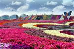 45-trieu-doa-hoa-dubai
