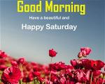 saturday-2