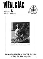 vg006-12-81-bia