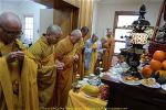 cu-ong-thien-chon-9-