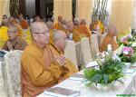 tung-luong-hoang-sam-1-