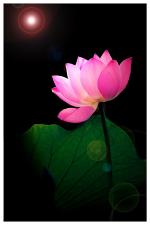 trang-thien