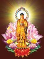 buddha7