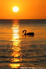 sunset1