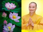 tt-nguyen-phuoc