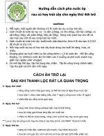 11-huong-dan-cach-pha-nuoc-ep-rau-cu-hay-trai-cay-cho-ngay-thu-tu-tro-di-1