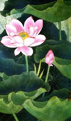 lotus_4