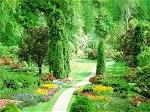 garden-01
