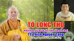 14-tt-thich-nguyen-tang-to-long-tho