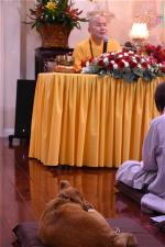 thuong-toa-thich-nguyen-tang-6-