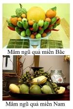 mam-ngu-qua