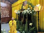 hoa-thuong-tue-sy-tt-nguyen-tang
