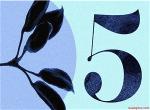 so-5