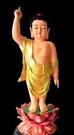 phat-so-sinh