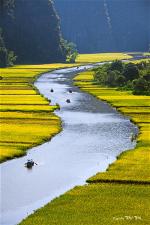 dongsong-3