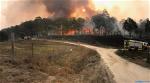 bush-fire-in-nsw-2019-1-