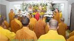 hoa-thuong-minh-tuan-148-