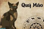 nam-quy-mao