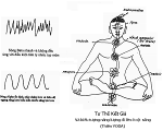 tho-va-thien-bs-do-hong-ngoc