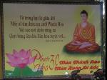 thanh-dao-1