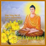 huong-mua-thanh-dao-thich-huyen-lan