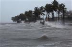 bao-irma-2