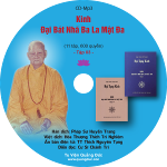 nhan-cd-tap-3-kinh-dai-bat-nha