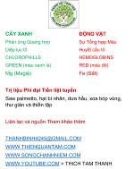 09-cay-xanh-dong-vat