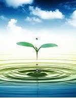 nuoc-water-2
