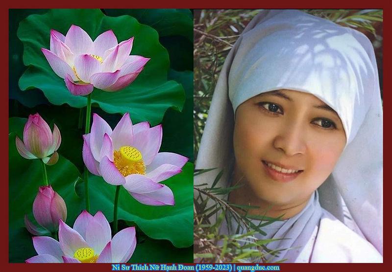 ni su hanh doan-2