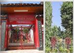 chua-viet-nam-usa-a