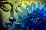 buddha-318