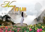 tln-vong-vu-lan